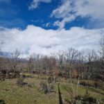 Infantil: El Cardoso y La Sierra del Rincón