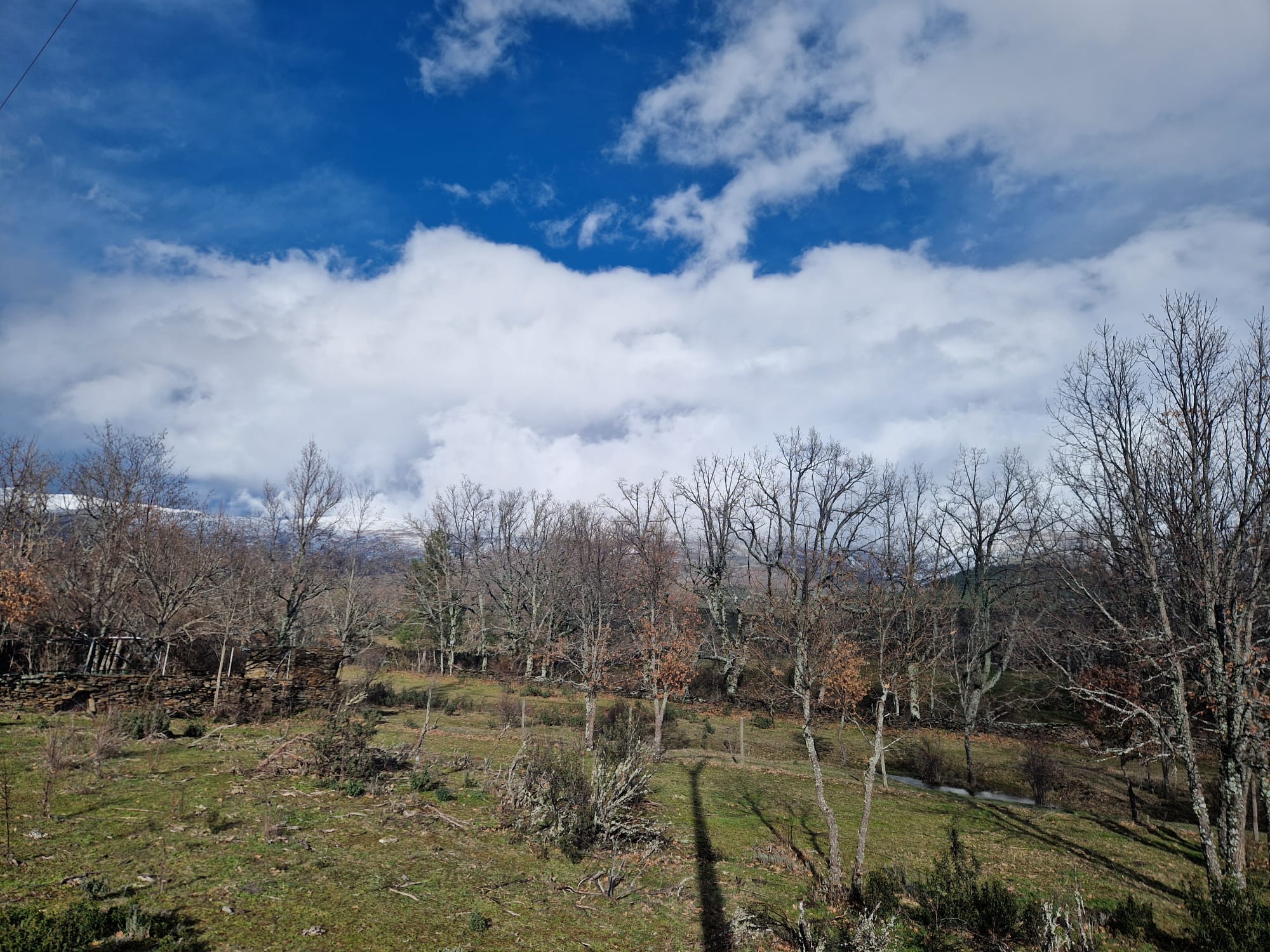 Infantil: El Cardoso y La Sierra del Rincón