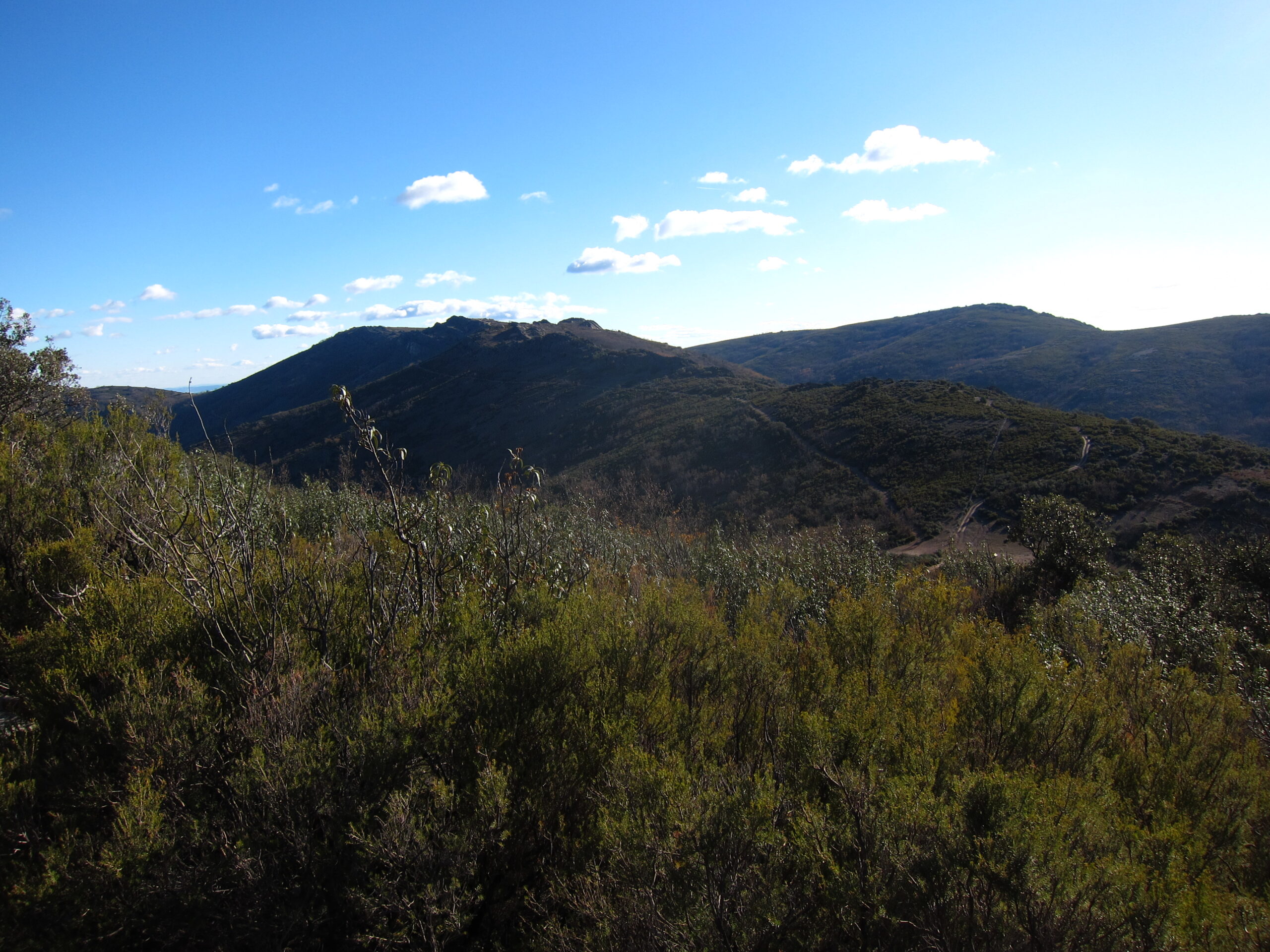 Salida por la zona de los Montes de Toledo