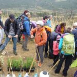 Repoblación de serbales en el Bosque de los 110 Años