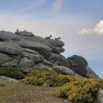 Salida a la Sierra de Gredos (Ávila).