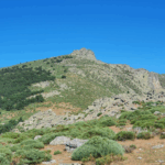La Najarra