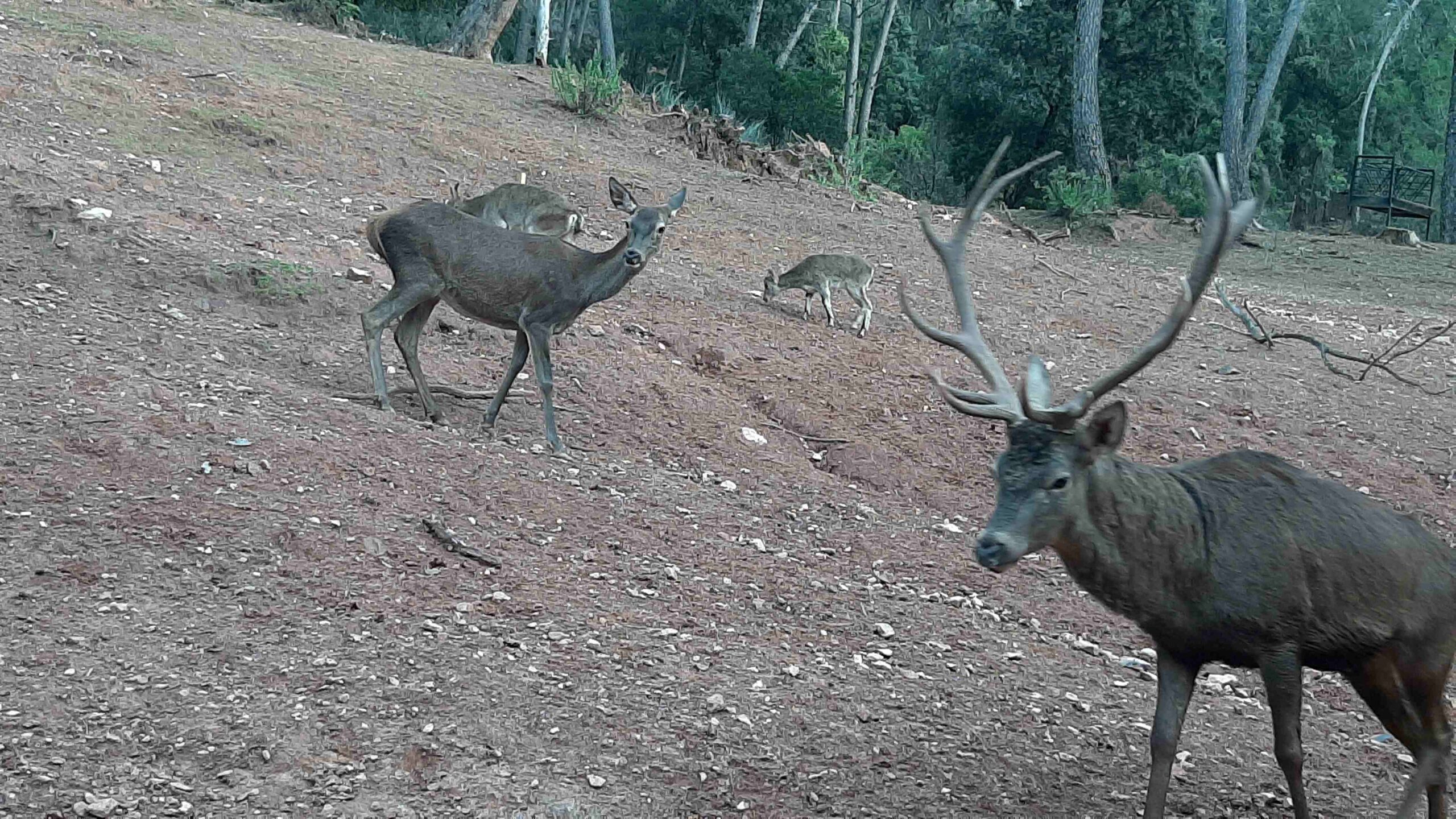 Salida al Parque Natural de Cazorla, Segura y Las Villas (Jaén)