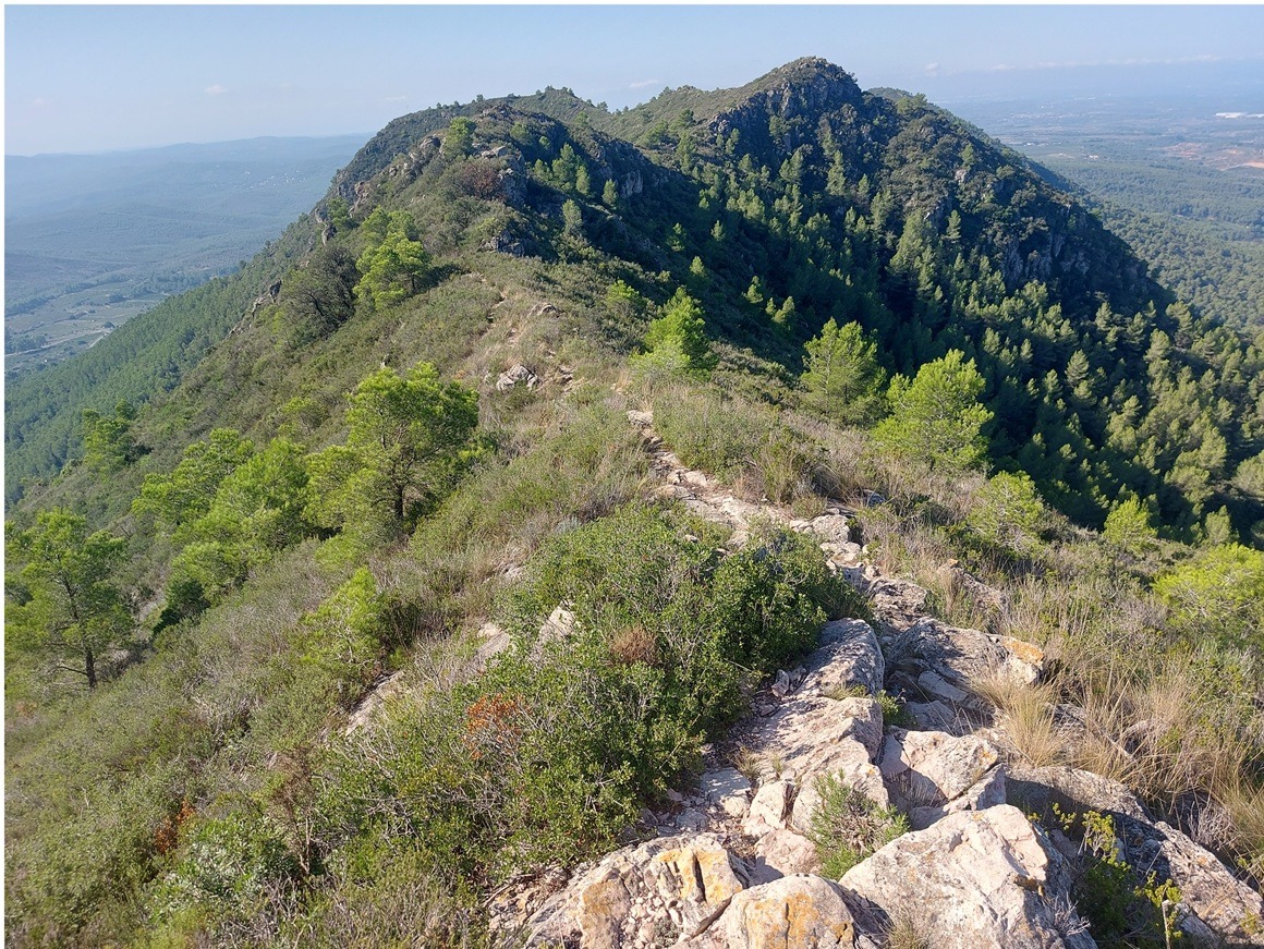 SIERRA DEL GUADARRAMA. PICO  CARPENTIER (1.945 m.)