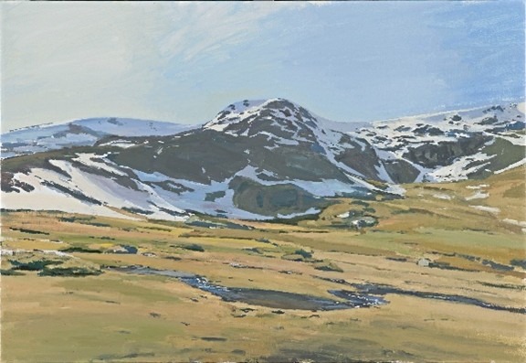 Presentación Libro Taiana 15 diciembre 2025 - Imagen 7