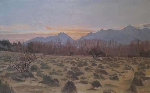 Presentación Libro Taiana 15 diciembre 2025 - Imagen 6