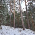 Excursionismo: Ascensión a Cueva Valiente (Segovia)