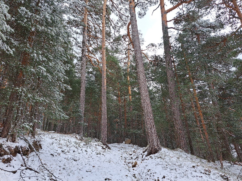 Excursionismo: Ascensión a Cueva Valiente (Segovia)