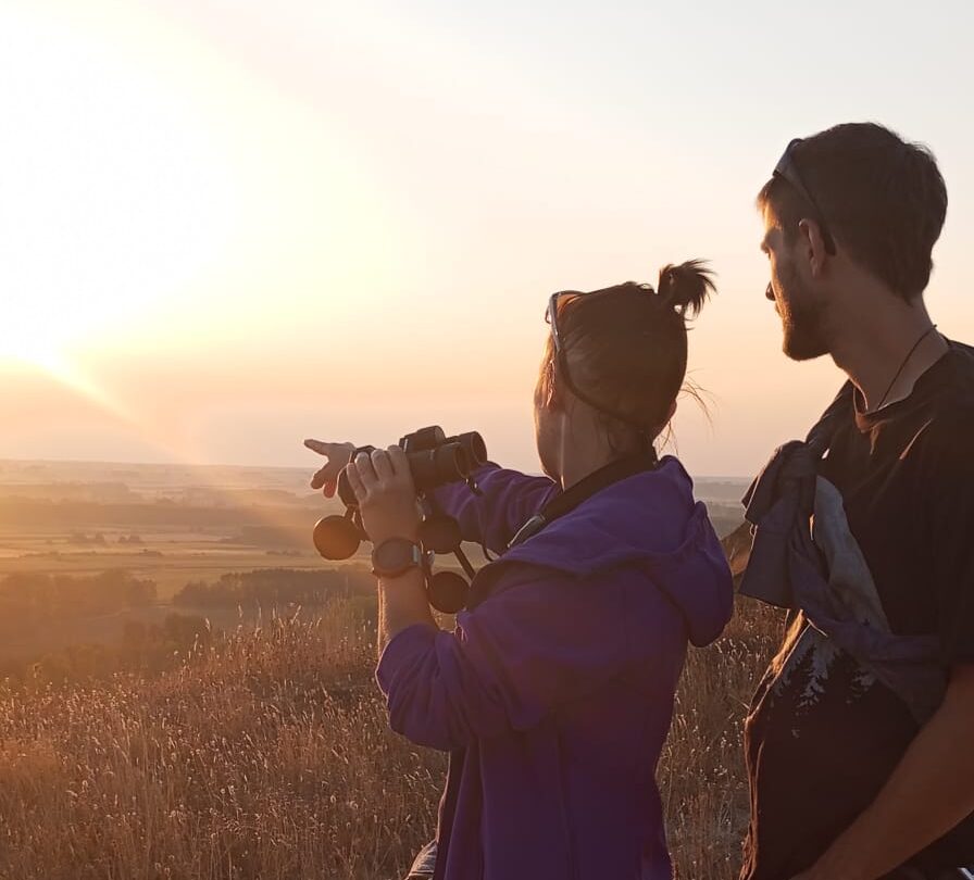 Ruta Ornitológica en la Sierra de Guadarrama
