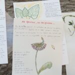 Medioambiente: Encuentro de Etnobotánica y Acuarela