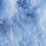 Curso de Nivología y rescate en aludes