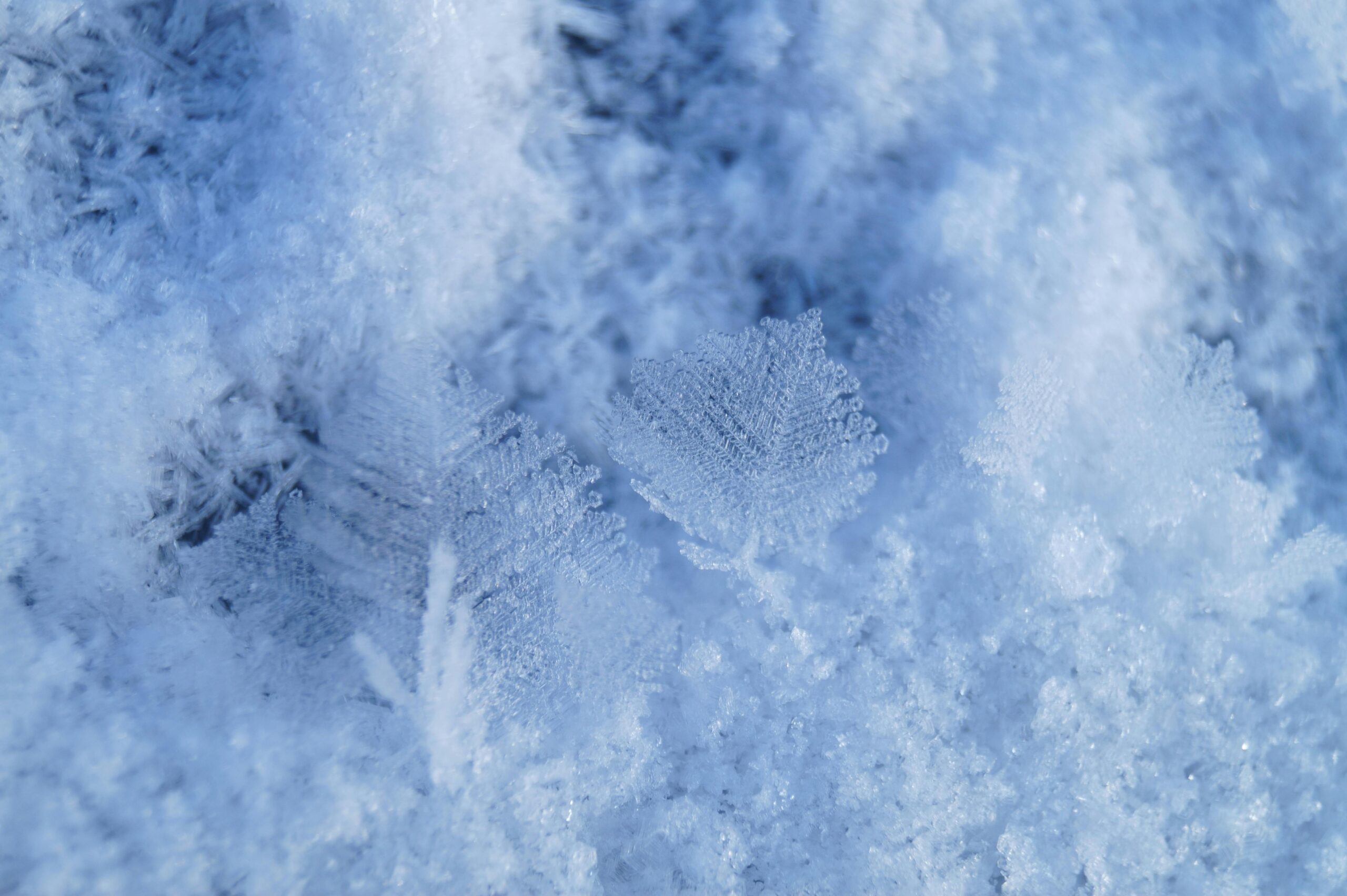 Curso de Nivología y rescate en aludes