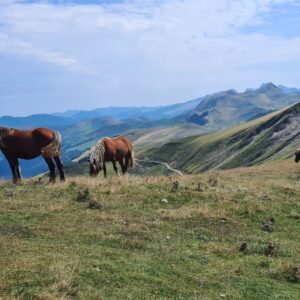 Excursionismo: Semana de Excursionismo en los Pirineos.