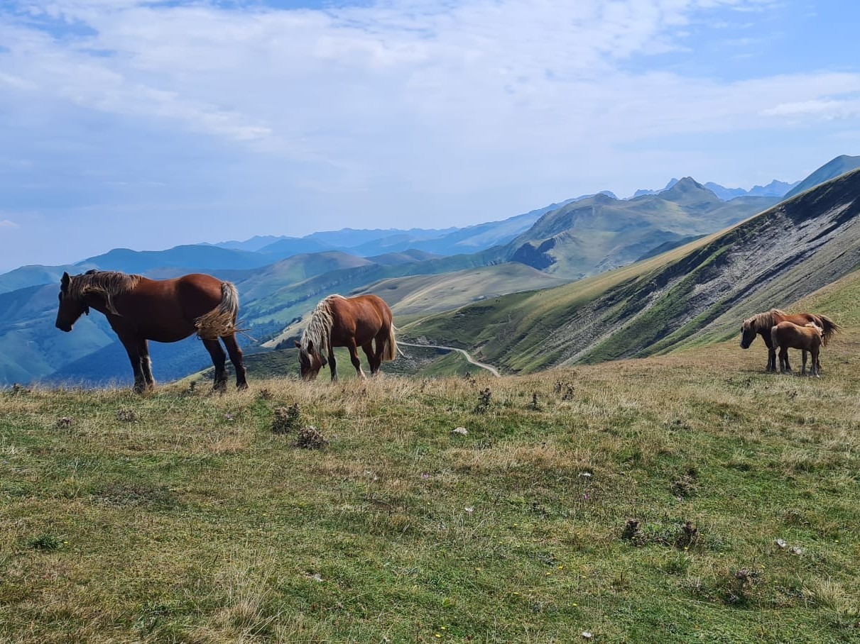 Excursionismo: Semana de Excursionismo en los Pirineos.
