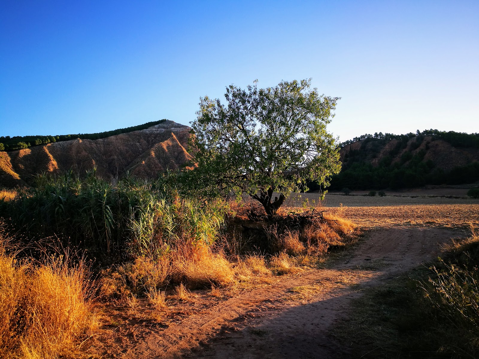 Ascensión al Pico del Águila - Guadalajara ( 965 m)