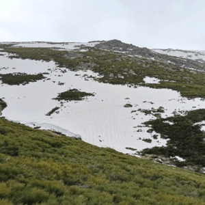 Excursionismo: Salida a la Sierra de Béjar (Salamanca).