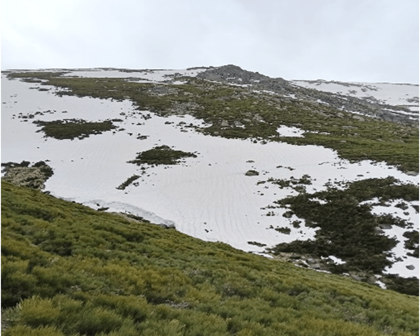 Excursionismo: Salida a la Sierra de Béjar (Salamanca).