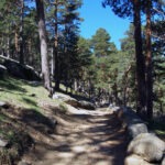 Infantil: Puerto de Navacerrada - Camino Schmid