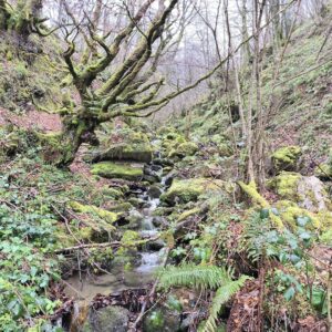 Excursionismo: Salida al Parque Natural de Redes (Asturias).
