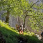 Excursionismo: Salida al Parque Natural de Saja-Besaya (Cantabria).
