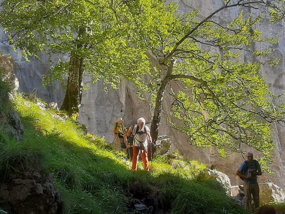 Excursionismo: Salida al Parque Natural de Saja-Besaya (Cantabria).