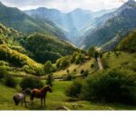 MONTAÑA: SALIDA AL PARQUE NATURAL DE REDES