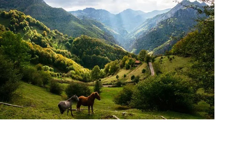 MONTAÑA: SALIDA AL PARQUE NATURAL DE REDES