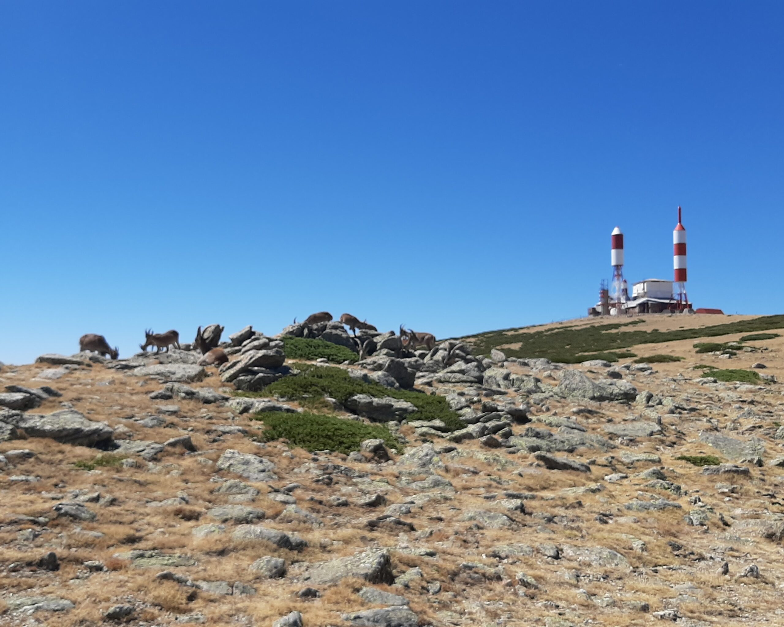 Excursionismo: Ruta al Nacimiento del Río Manzanares (Madrid).